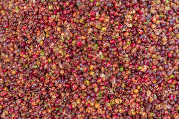 coffee bean husks on farm