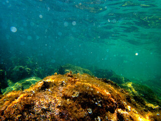 Fondale marino isola bella Taormina