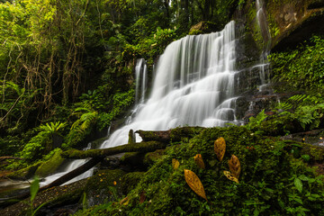 Fototapeta na wymiar Beautiful waterfall in Phu Hin Rong Kla National Park, Phitsanulok province, ThaiLand.