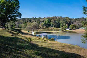 The forest and swamp in Phu Khiao Wildlife Sanctuary Chaiyaphum Province, Thailand
