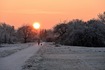 Die Sonne geht am Morgen hinter einer weißen Winterlandschaft auf und eine Person geht mit seinem Hund spazieren 