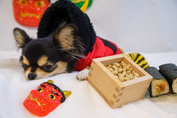 鬼のコスプレをした犬の節分行事
