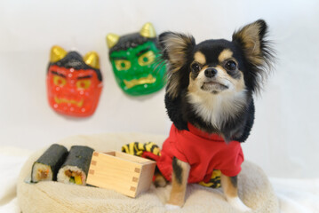 鬼のコスプレをした犬の節分行事