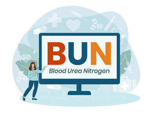 BUN - Blood Urea Nitrogen acronym. medical concept background. Vector illustration for website banner, marketing materials, business presentation, online advertising