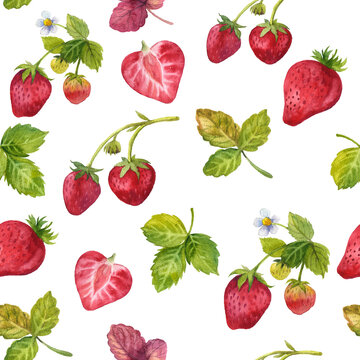 Watercolor set of red juicy strawberries with leaves and flowes. For postcards, greetings, cards, logo. Summer sweet and bright fruits and berries. Hand drawn food illustration. Fruit print.