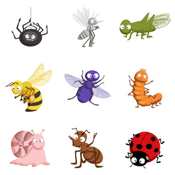 Set of bright cute cartoon insects: ladybug, caterpillar, spider, grasshopper, snail, ant