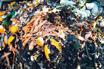 Compost from kitchen close up shot, rotting vegetables, fruits in massive piles to upgrade the garden soil.