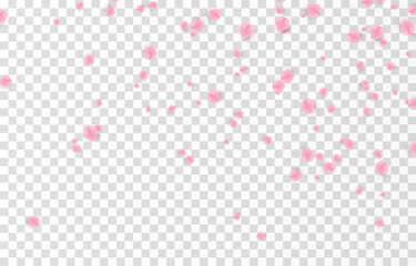 Vector falling rose petals png. Falling sakura petals, roses png. Pink petals png. Petals for Valentine's Day, Mother's Day, March 8.