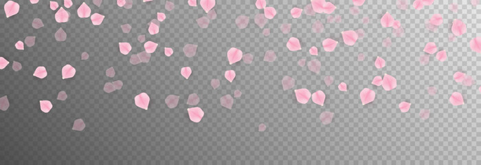 Vector falling rose petals png. Falling sakura petals, roses png. Pink petals png. Petals for Valentine's Day, Mother's Day, March 8.