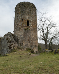 Fototapeta na wymiar Château de l'Ours à Sainte-Thérence dans l'Allier, région Auvergne-Rhône-Alpes (en ruine) 