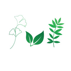 nice leaf vector design here