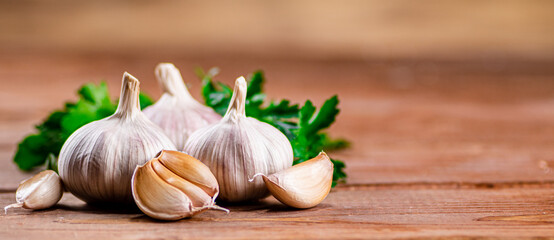 Cloves of fresh garlic with parsley. 