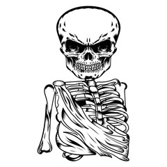 Vector human skull drawing, Human skull front view Illustration.