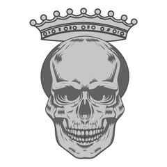 Vector human skull drawing, Human skull front view Illustration.