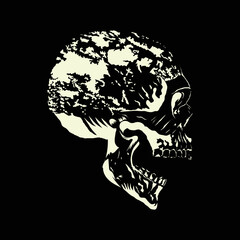 Vector human skull drawing, Human skull front view Illustration.