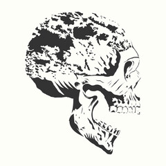 Vector human skull drawing, Human skull front view Illustration.