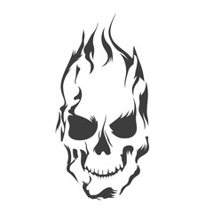 Vector human skull drawing, Human skull front view Illustration.