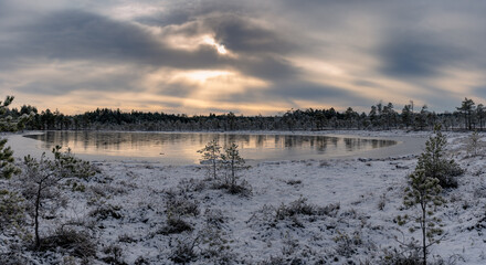 Panoramic view of a frozen forest pond in a swampy area. Nature background. cloudy sky