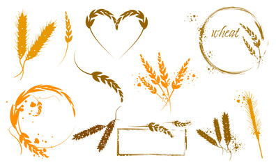 Grain plants silhouettes and cereal bowls. Coffee cups, beans and breakfast elements. Wheat, barley and ears of corn. Vector sketch illustration for food packaging design template.