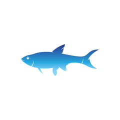 Obraz premium Fish logo icon template creative