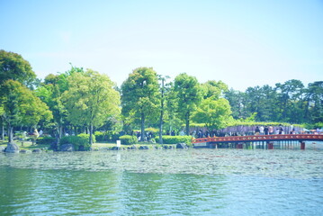 Fototapeta premium 天王川公園 池