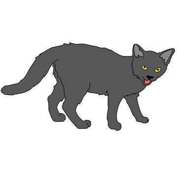 Grey Cat Meowing Illustration