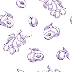 Plum seamless pattern design. Vintage sketch vector. Easy color change. Transparent background