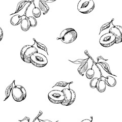 Plum seamless pattern design. Vintage sketch vector. Easy color change. Transparent background