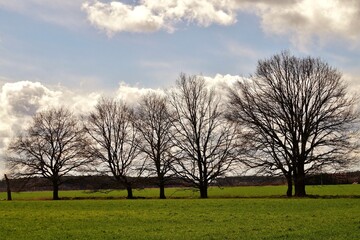 Obraz premium Immer der Größe nach.