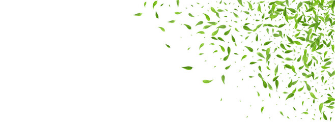 Olive Greens Abstract Vector Panoramic White