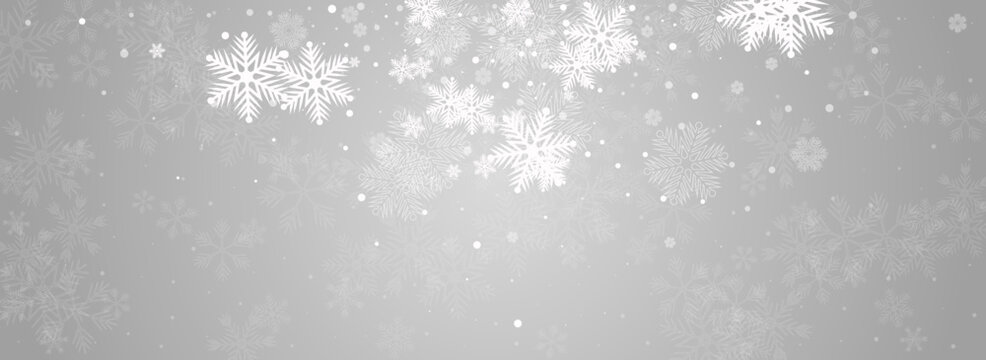 White Snowflake Vector Panoramic Grey Background.