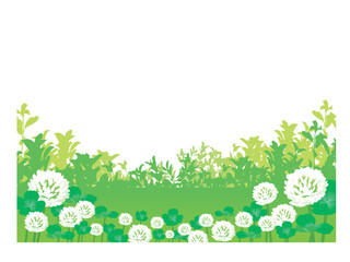 明るい健康的な白爪草が咲く野原・原っぱの風景