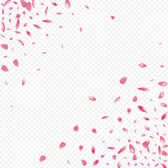 Light Petal Vector Transparent Background. Apple