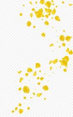 Canary Cherry Japanese Vector Transparent