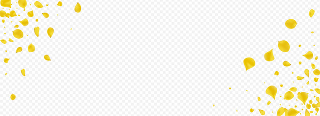 Amber Sakura Blur Vector Panoramic Transparent