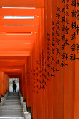 昼間の赤坂山王日枝神社の連続した鳥居