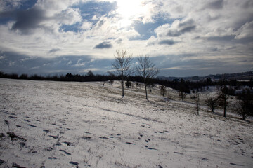landscape with snow