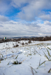snow in the city