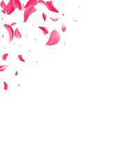 Pink Peach Japanese Vector White Background. Fly