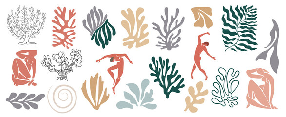 Set of abstract organic shapes, exotic jungle leaves, female nude silhouettes, algae in trendy Matisse inspired style. Contemporary art illustration on transparent background. PNG. Digital stickers - obrazy, fototapety, plakaty