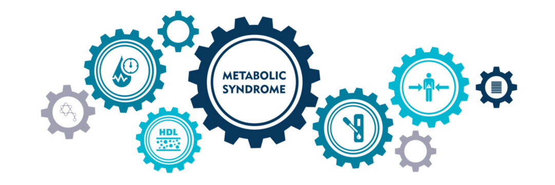 Symptoms Of Metabolic Syndrome Banner Web Icon Vector Illustration Concept With An Icon Of Hypertension, Insulin Resistance, High Triglycerides, Low HDL-Cholesterol, Visceral Obesity