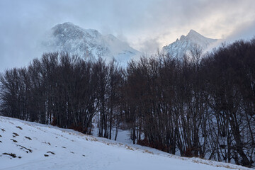 Fototapeta premium Inverno nel Parco Nazionale del Gran Sasso - Prati di Tivo
