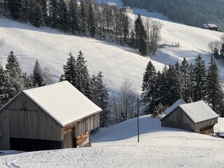 Indigenous alpine huts and wooden cattle stables in the Swiss Alps covered with fresh first snow over the Lake Walen or Lake Walenstadt (Walensee), Amden - Canton of St. Gallen, Switzerland / Schweiz
