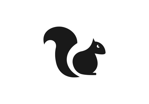 Squirrel logo template design abstract icon isolated white background