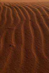 Wadi Rum Wüste roter Sand Verwehungen