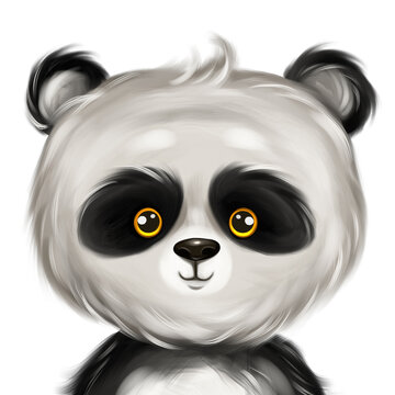 Cute panda portrait. Hand drawn panda nursery illustration