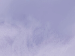 blurred abstract textured background delicate grey beautiful feathers