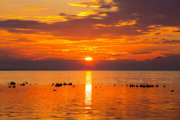 Sunset in sea