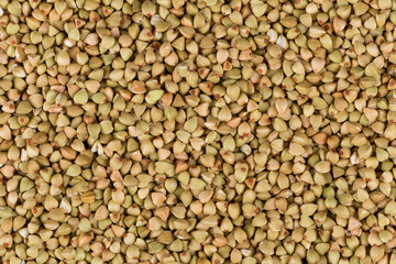 organic bio buckwheat