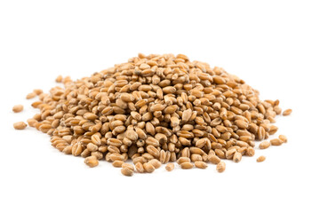 Wheat grain on white